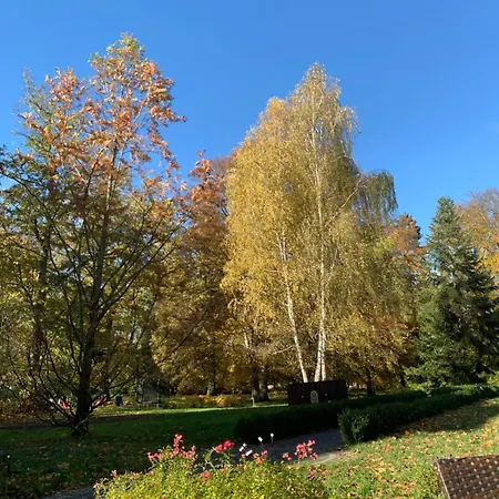 Lägenhetshotell Palac Sapetow Tuczno (Strzelce-Drezdenko)