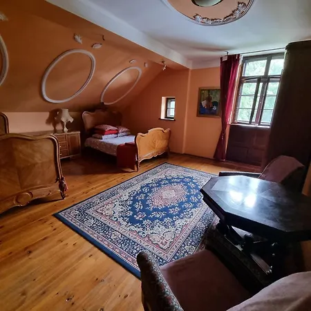 Aparthotel Palac Sapetow