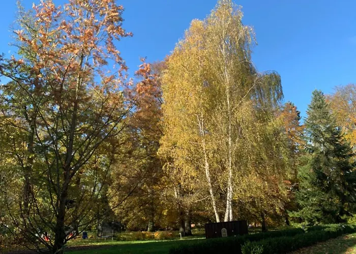 Aparthotel Palac Sapetow Tuczno (Strzelce-Drezdenko)