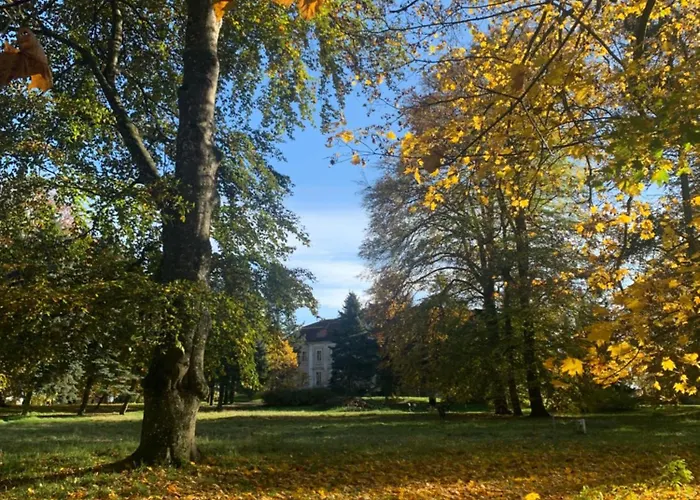 Lägenhetshotell Palac Sapetow